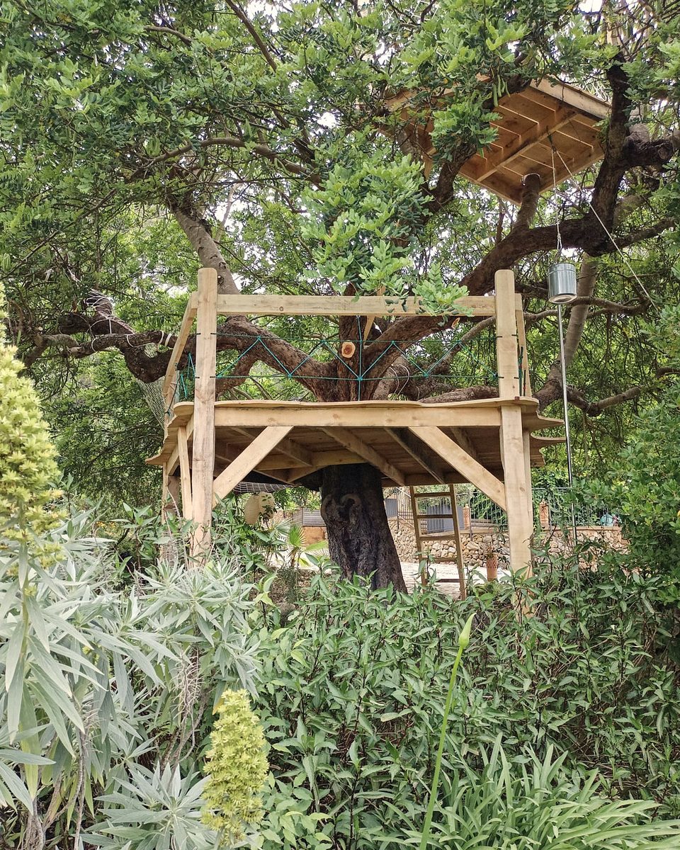 Plataforma elevada con lavanda y árboles mediterráneos
